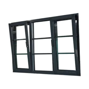 Louvre Window