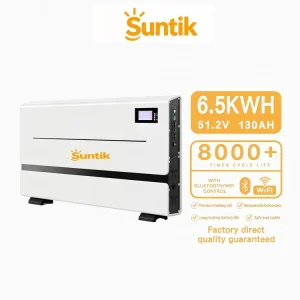 Suntik 51.2V LiFePO4 BMS