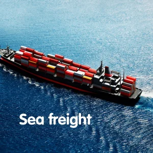 LCL Service Bulk Cargo with Customs Clearance Sea Freight Shipping Agents in Shenzhen to Venezuela