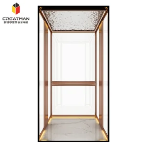 Low Pit Requirement Small Footprint Home Villa Sightseeing Residential Elevator