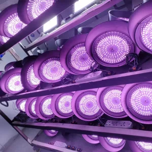 Completo Tenda de Cultivo Luz de Cultivo para Cultivar Mari Alta Ppf LED Lâmpada de Cultivo de Plantas Barra Fabricante 50W 70W Espectro Completo Lm301 Comercial para Vegetação e Floração