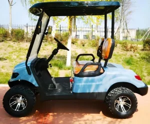 2 Seater Electric Cart