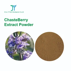 Chasteberry Extract Powder