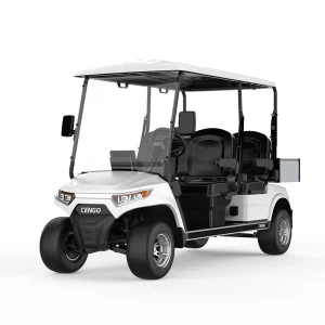 3000W Industrial Golf Cart