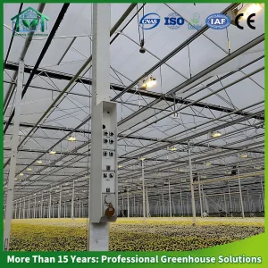 Luz de Cultivo LED à Prova d'Água para Estufas Comerciais com Cobertura Uniforme