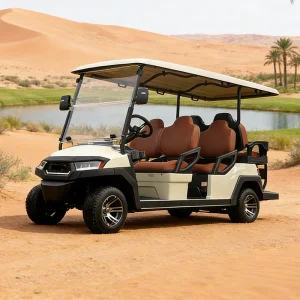 6 Seater Luxury Electric Vehicle High Speed Golf Cart with EEC CE