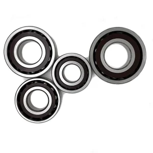 Petrochemical Machinery Bearing