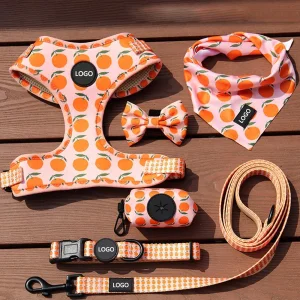 Eco-Friendly Harness