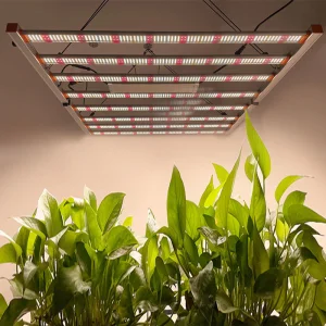 Commercial LED