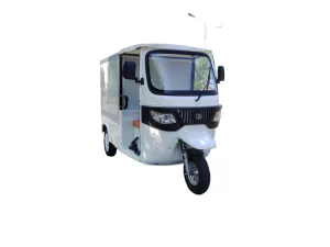 China Electric Tricycle with Cabin Closed Cargo Box for Delivery Manufacturers, Suppliers