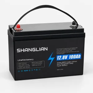 4000-Cycle Lithium Iron Phosphate 12.8V