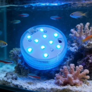 Rechargeable Pool Light
