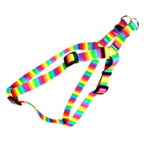 Customized Rainbow Pet Leash Dog Harness
