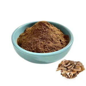 Maitake Mushroom (30% Polysaccharides) Extract/Grifola Frondosa Extract