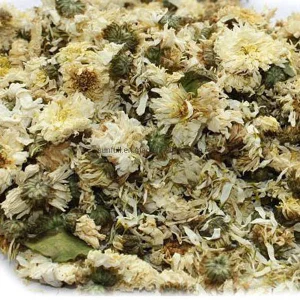 Chrysanthemum Flower Extract Powder Wtih Flavonoids, Amino Acids &amp; Vitamins