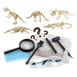 Dinosaur Fossil Excavation