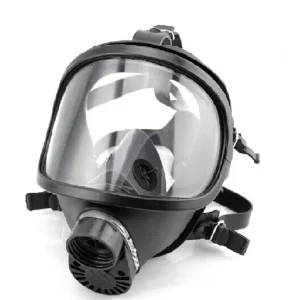 Full Face Toxic Gas Mask Respirator with Filter with Price