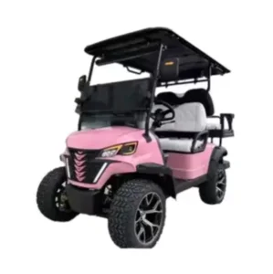Tongcai & Kepler 4-Passenger Solar-Assisted Tourism Golf Car