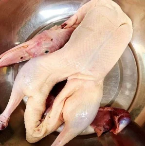 Freshly Packaged Bulk Frozen Whole Duck for Traditional