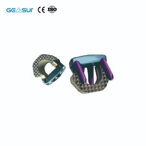 PEEK Cage with Screw