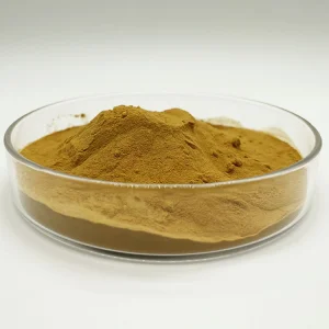 Premium Hydrolyzed Soy Protein Isolate for Enhanced Nutrition