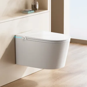 Compact Smart Toilet