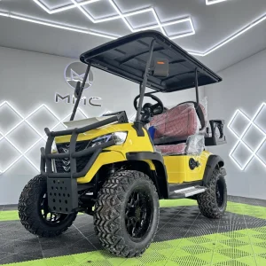 Electric 2 4 6 Passenger Golf Carts New Custom Luxury Smart Lifted Electric Hunting Golf Cart