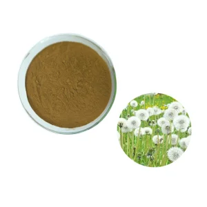 Taraxacum Mongolicum Dandelion Root Extract