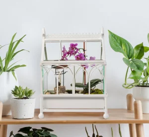 Glass Terrarium Case