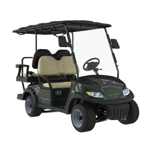 Venda por atacado Personalizado 48V Carrinho de Golfe Elétrico 4-Seater Carrinho Elétrico com Acessórios para Carro de Futebol