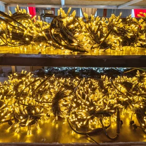 Garden String Light