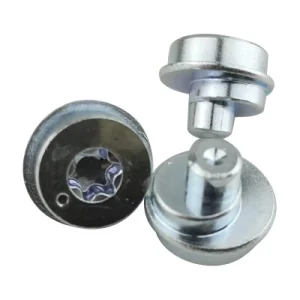 OEM/ODM Custom All Kinds of Stainless Steel Carbon Steel Eccentric Bolts, Eccentric Rivets, Furniture Rivets Doors and Windows Hardware