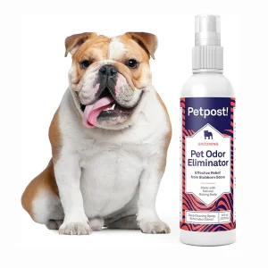 Desodorizante para Animais de Estimação Marca Própria Removedor de Odor Eliminador Perfume para Animais Spray Desodorante para Cães e Gatos Cuidados para Animais Spray Eliminador de Odor