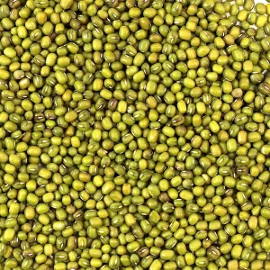 Natural Organic Non-GMO Premium Grade Green Mung Beans Dried Rich Source Protein Fiber Vacuum Pack Bulk NZ Origin 24-Month Shelf