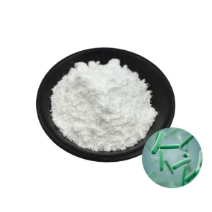 Probiotic Powder