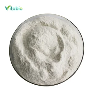 VITABIO Rice Extract Rice Protein 80% Organic Rice