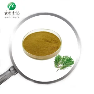 Platycladus Orientalis Leaf Extract Powder