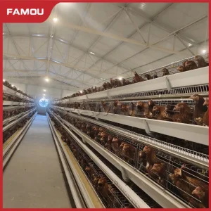 Innovative Type Layer Chicken Cage for Modern Poultry Operations