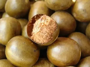مستخلص موغروسيد السوبر الحلو، محلي طبيعي نهائي لعشاق اللياقة البدنية