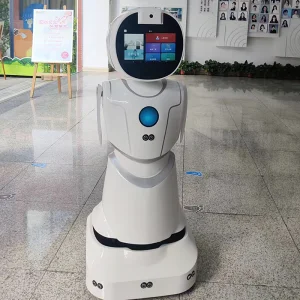 Educational Tutoring Lesson Planning Progress Tracking Humanoid Robot
