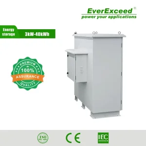 Everexceed Outdoor Power System 40kwh Energy Storage Solution with Factory Price