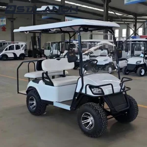 High Performance 4 Seats Electric Trolley Lithium Battery Powered