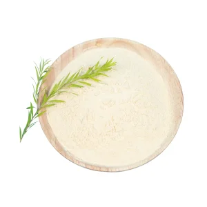 Lactobacillus Acidophilus