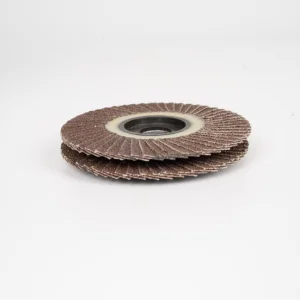 Flap Disc