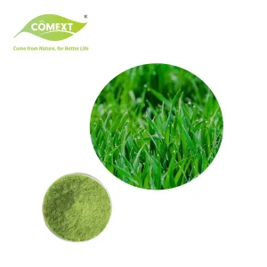 Organic Wheatgrass Powder