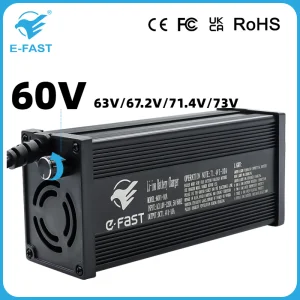 60V Series Adjustable Charger