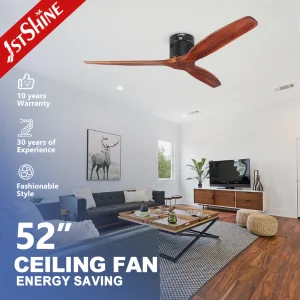 1stshine Ceiling Fan Apartment DC Motor Inverter