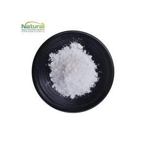 Lactobacillus Paracasei Powder