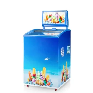 Arc Locked Curved Glass Ice Cream Freezer for Snack Bar &amp; Convenience Store, Small Commercial Freezing Cold Storage Display Fridge