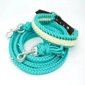 Paracord Dog Collar